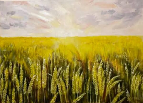 Wheat field